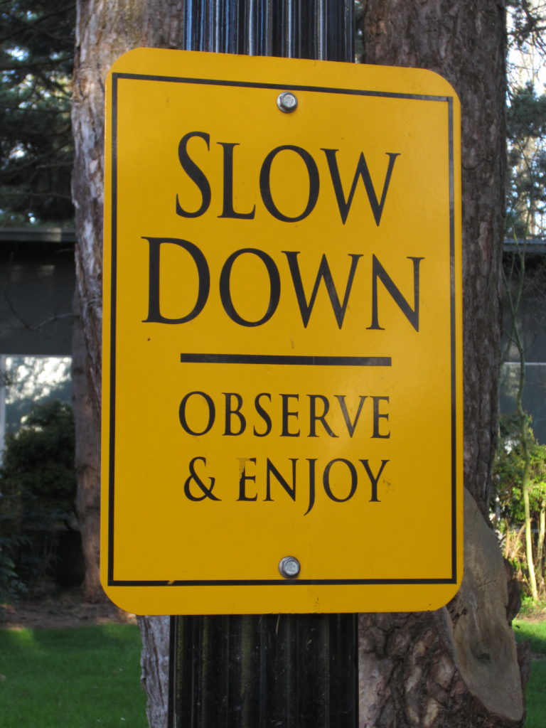 slow_down_sign_reed_college_portland_oregon_2013