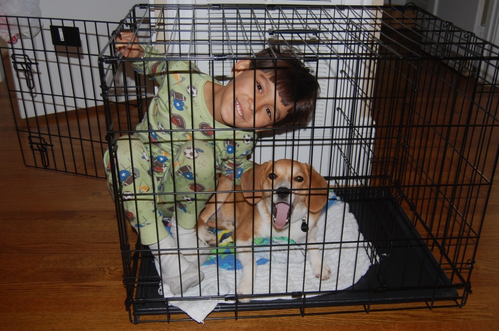 I Know Why The Caged Bird Sings The Real Deal Wordless Wednesday